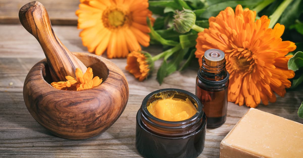 5 Benefits of Calendula Flowers & How to Use Them