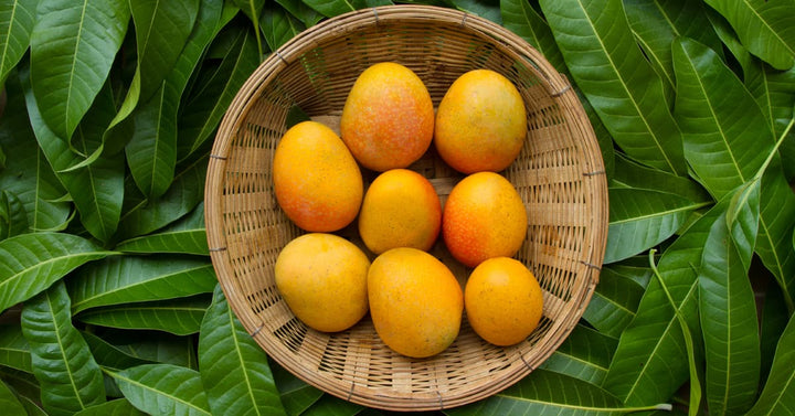 Amazing Benefits of Mango for Skin Health