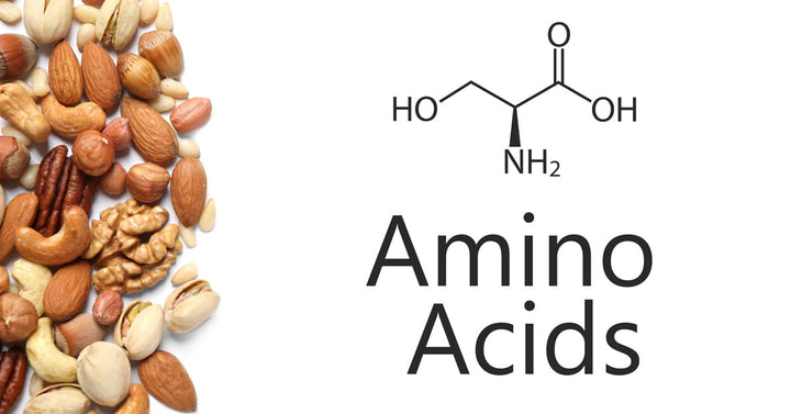 The Importance of Amino Acids for Hair Growth with its top 5 Benefits in a haircare routine