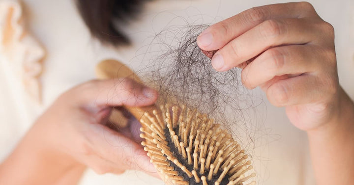 hair shedding vs hair loss