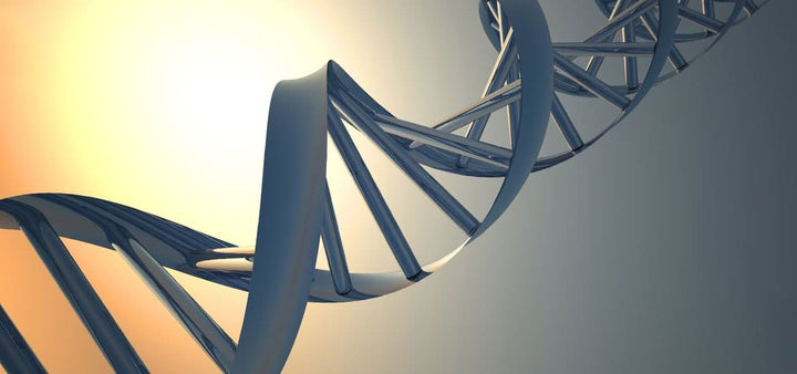 UV rays damages DNA Dermaessentia