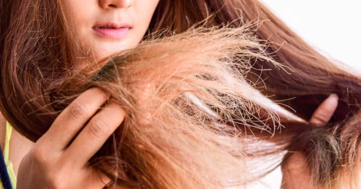 What causes Dry Hair and how to moisturise dry hair?