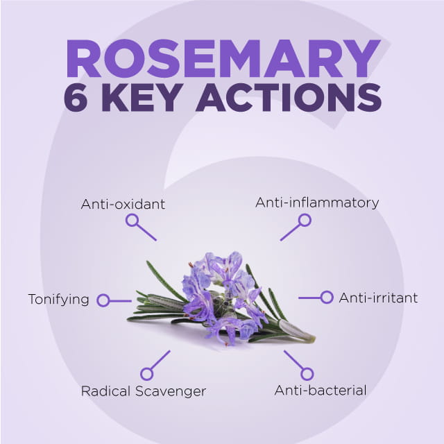 Rosemary 6 key Actions